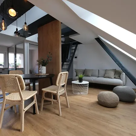 Emona Free Parking & Gym Apartament *