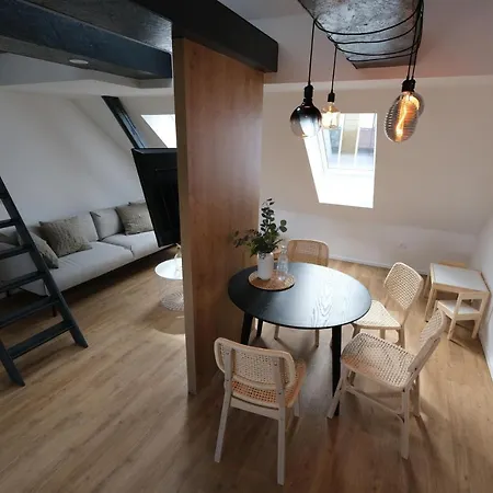 Apartamento Emona Free Parking & Gym Liubliana