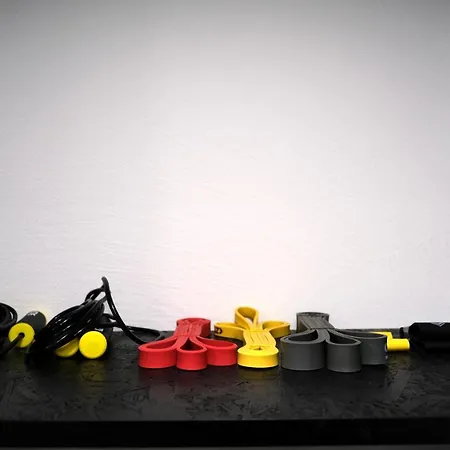 Emona Free Parking & Gym * 류블랴나