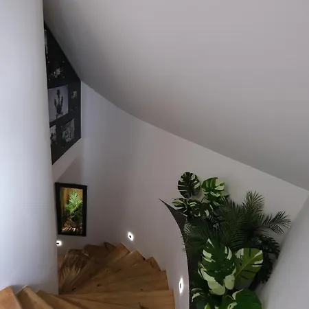 Emona Free Parking & Gym Apartman *