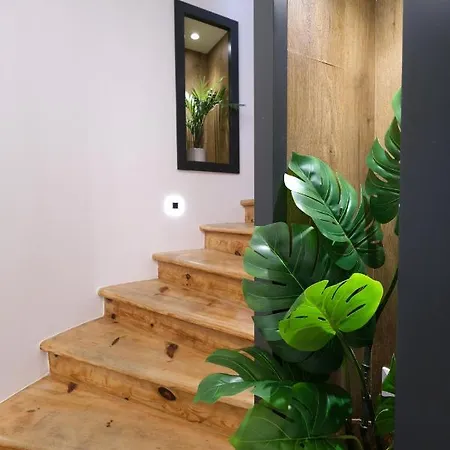 Emona Free Parking & Gym Apartman *