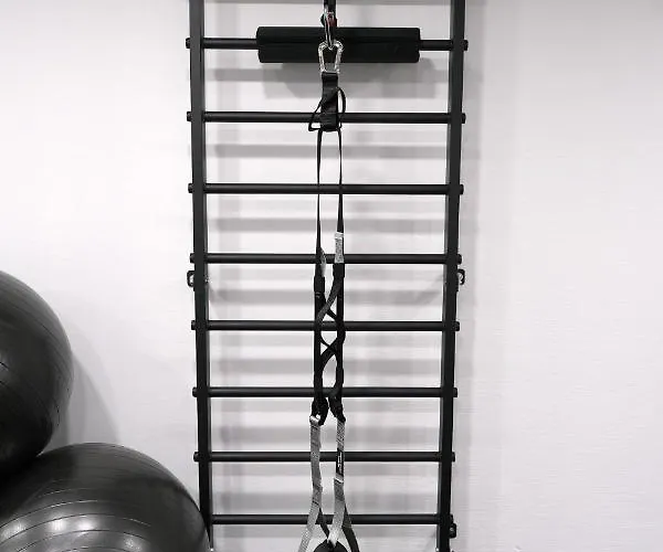 Emona Free Parking & Gym Apartmán Lublaň