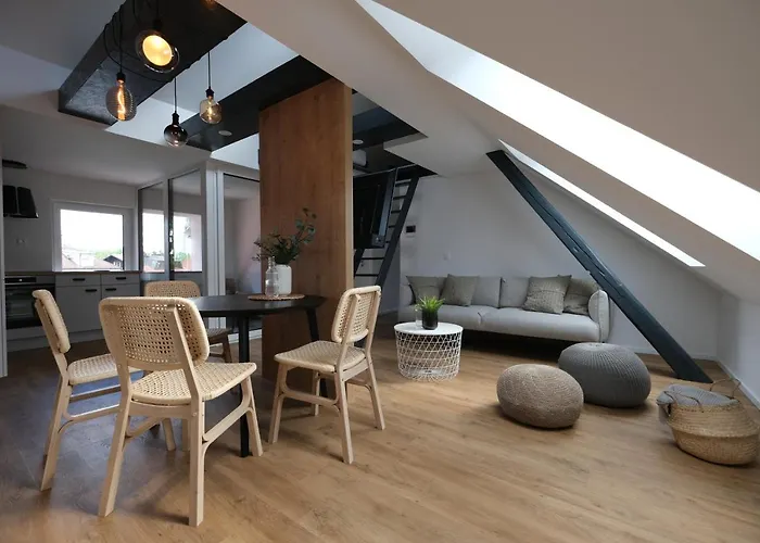 Emona Free Parking & Gym Appartement *