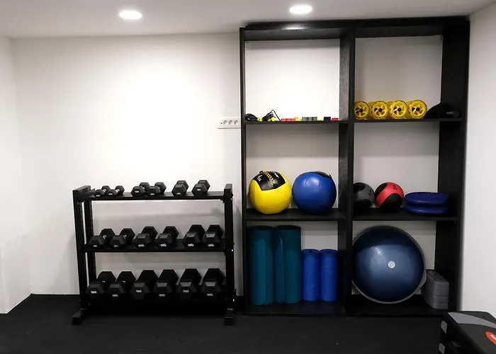 Emona Free Parking & Gym *